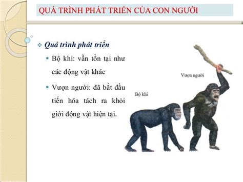 Báo Tin Lành về Người Lombard – Sự Phát Triển của Giáo Hội Kitô và Quá Trình Đóng Kết Văn Minh Lombard-Franks vào Thế Kỷ IX ở Ý